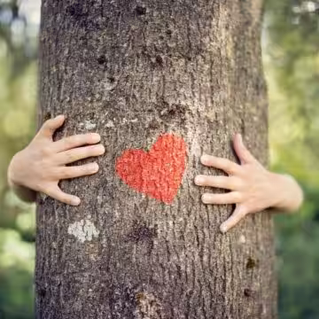 Forest Schools and Outdoor Learning